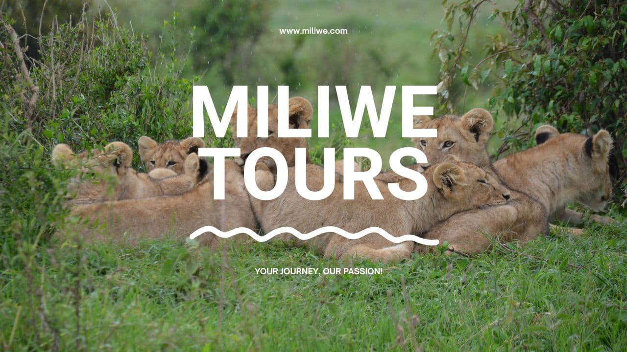 A Family Dream Rooted in Nature and Travel