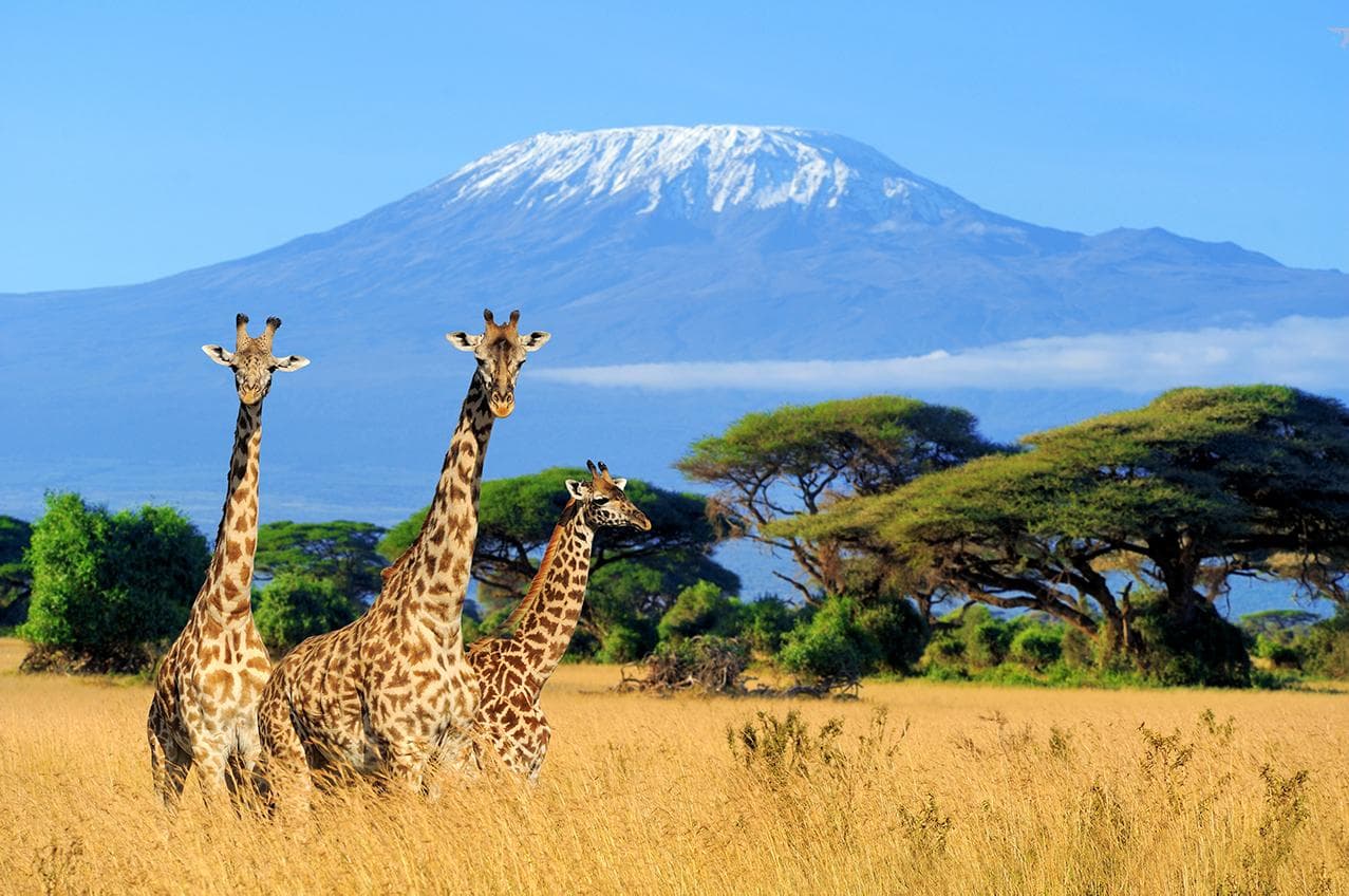 5 days: Climbing kilimanjaro via  marangu route