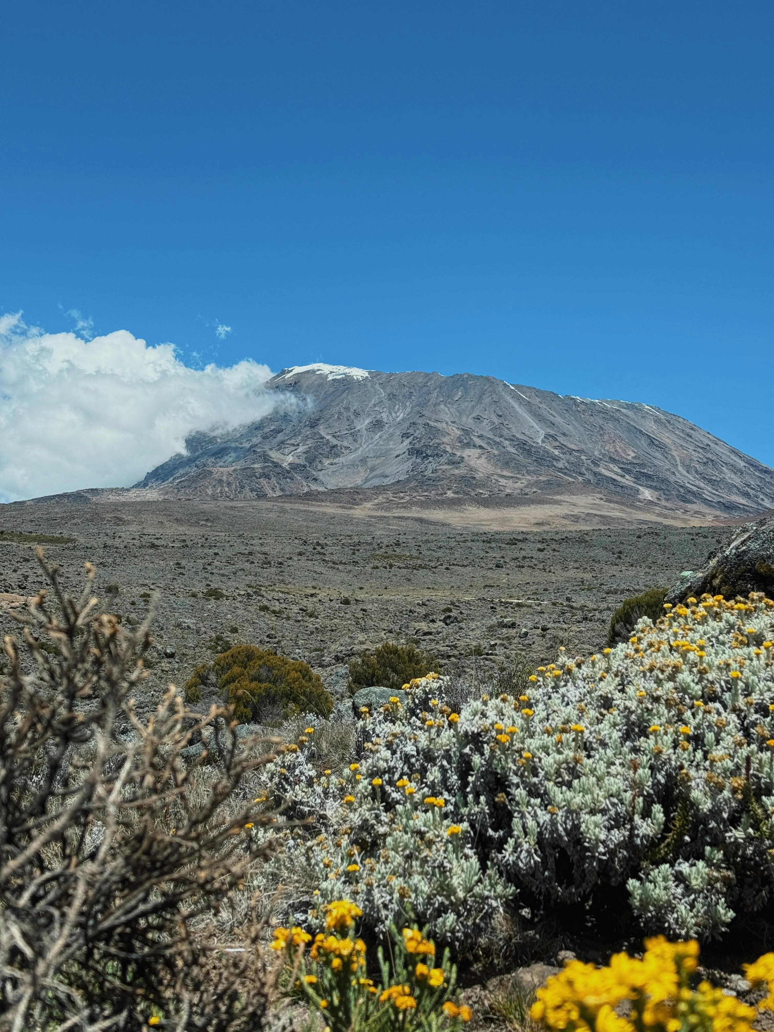 Mount Kilimanjaro