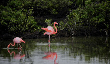 Lake Manyara National Park